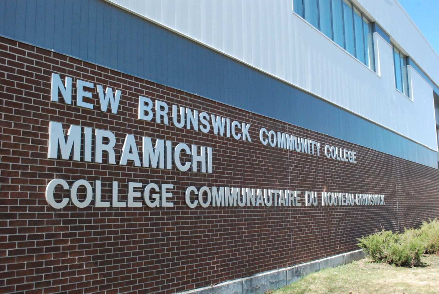 college banner